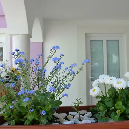 Апартаменты Ema & Sea Apartment's Пула