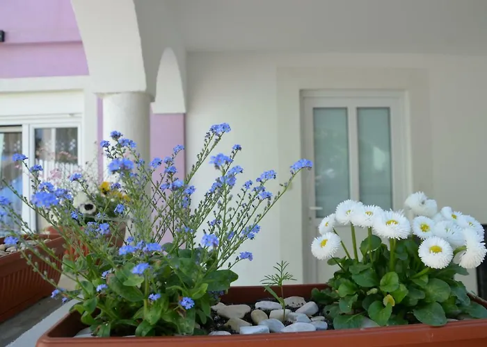 アパート Ema & Sea Apartment's プーラ