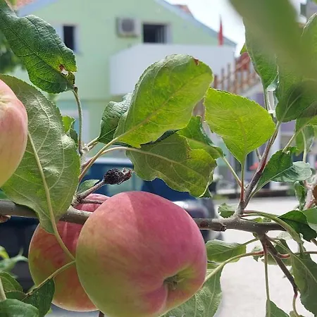 Ema & Sea Apartment's * Pula