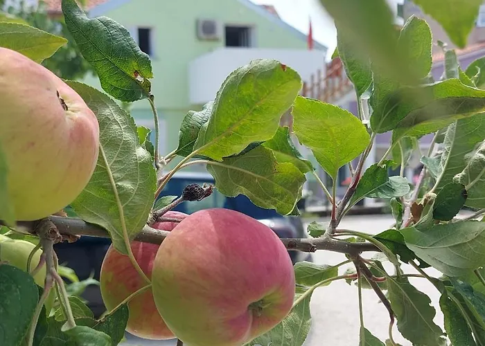 Ema & Sea Apartment's * Pula